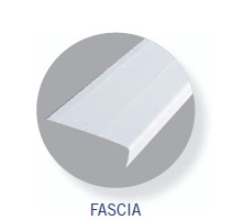 Fascia